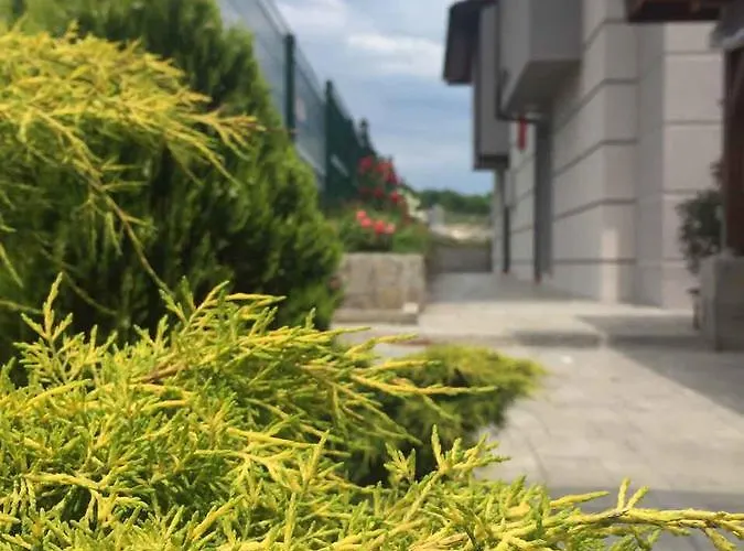 Calisto Chalé Arapya